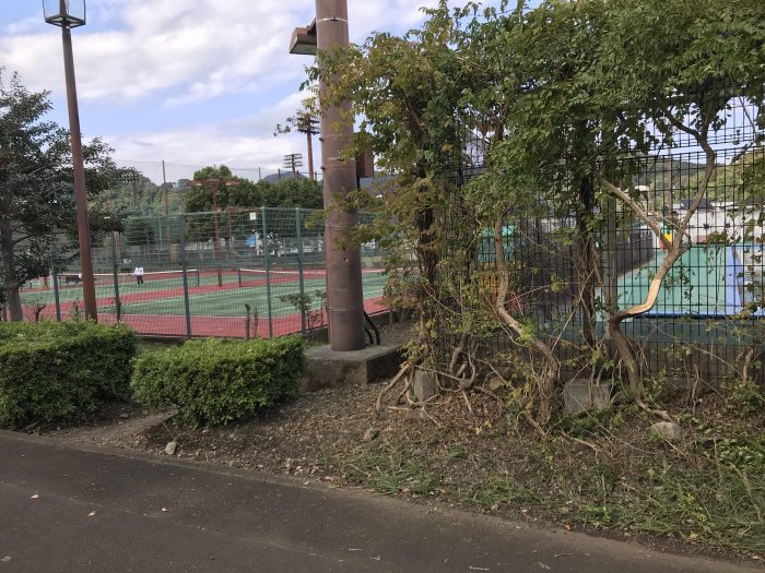 中津川のプールとテニス場